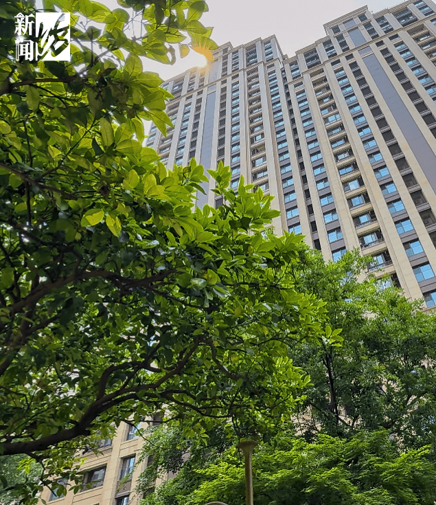 皇冠体育App下载_垃圾堆满皇冠体育App下载,臭到离谱!上海顶流豪宅业主也拾荒?邻居直呼倒大霉,不能忍!