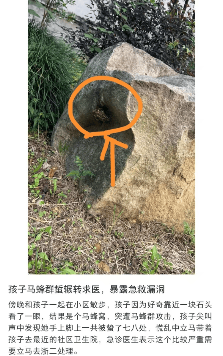帕丘卡vs萨尔茨堡红牛_6岁女童被马蜂蜇伤辗转5家医院才得到治疗帕丘卡vs萨尔茨堡红牛?杭州卫健委:会反映给相关处室