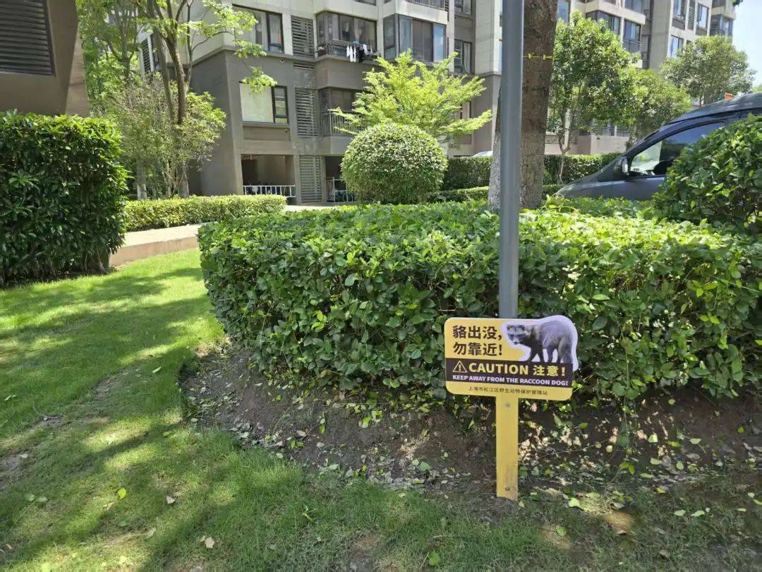 皇冠登一登二登三区别_上海一小区居民苦恼新邻居:突然搬来让人提心吊胆皇冠登一登二登三区别!不能抓不能打