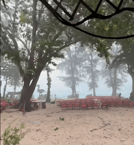 皇冠信用网代理_中国女游客被砸身亡！女儿崩溃：原定明天回国皇冠信用网代理，刚退休的年纪，意外先到了！