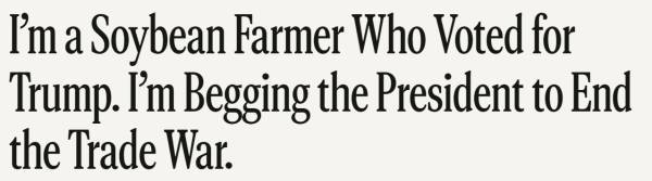 皇冠信用網在线开户_大豆玉米大丰收皇冠信用網在线开户，美国农民更欲哭无泪：中国一船都没买…