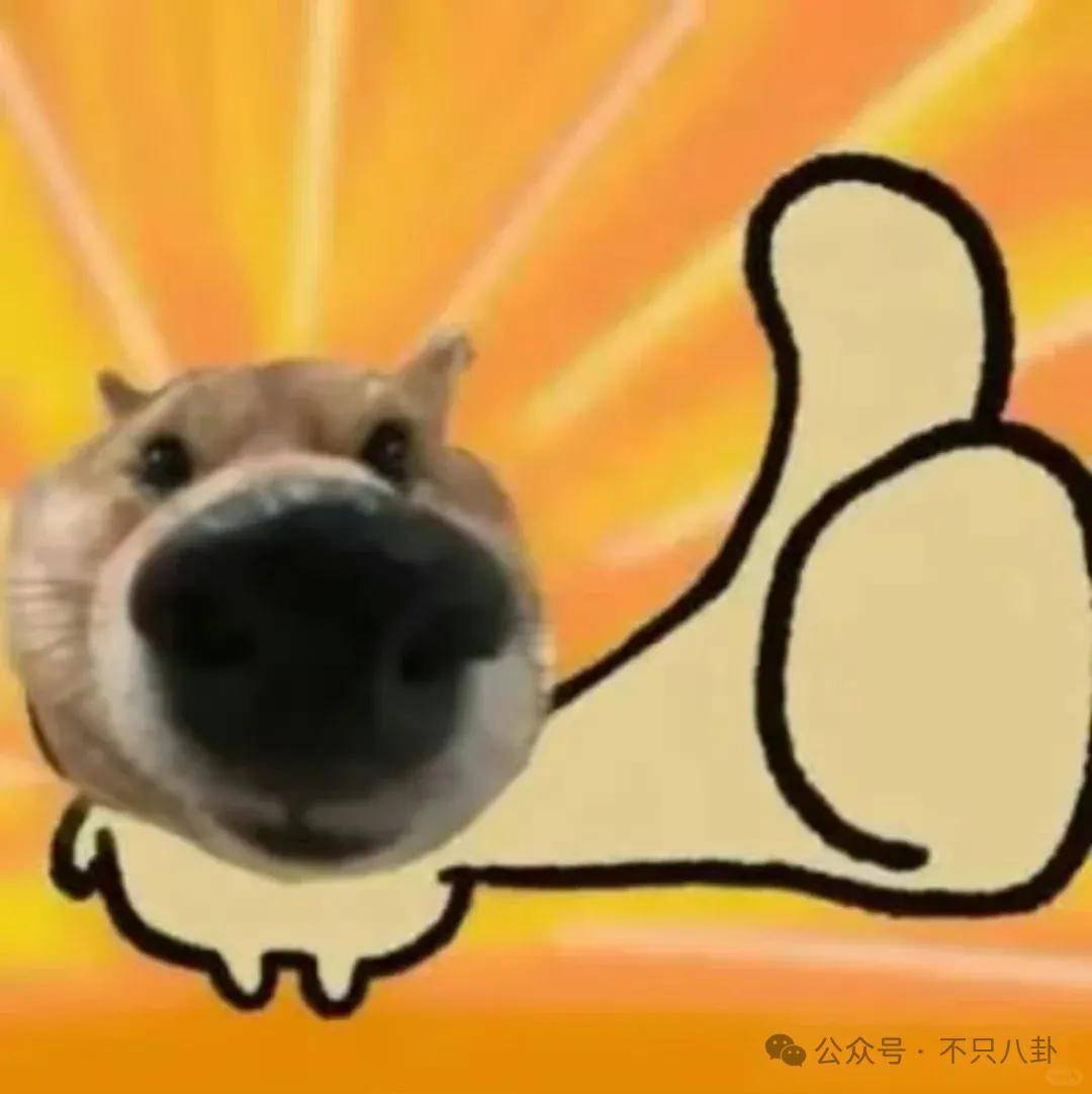 皇冠信用开户_姐终于离了皇冠信用开户，这次总算是摆脱不靠谱的老公和强势的婆婆了！