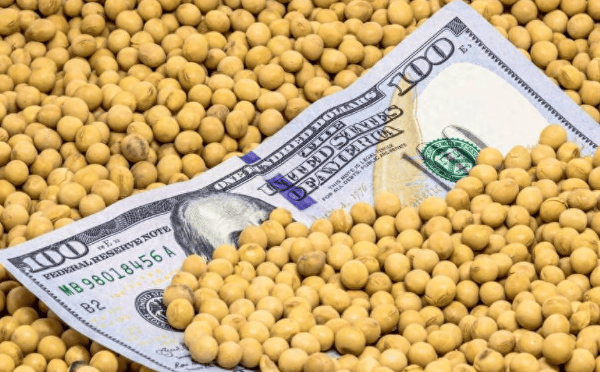 皇冠信用盘结算日是哪天
_特朗普紧急发文皇冠信用盘结算日是哪天
,对中国已做好最坏打算,或禁买中国食用油?提醒忠实盟友牢牢记住一点