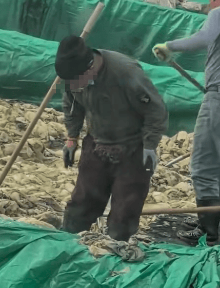 皇冠信用網出租足球
_辽宁葫芦岛一男子酸菜池中抽烟吐痰皇冠信用網出租足球
,曝光视频令人反胃!省市两级市监介入