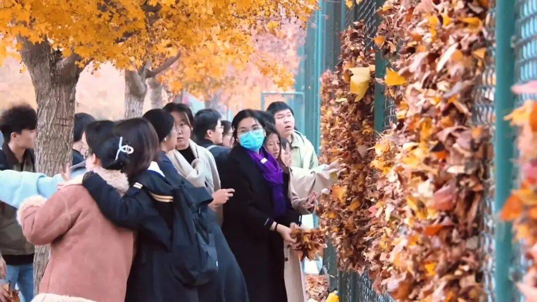 买球的正规网站_河南一医学院学生用落叶在篮球场铁网上插出心肝肺胃、注射器等图案买球的正规网站，学校：秋日限定浪漫