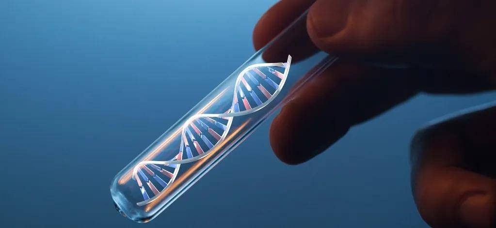 皇冠会员如何申请
_医生偷用自己的精子“助孕”皇冠会员如何申请
,死后查出12个子女