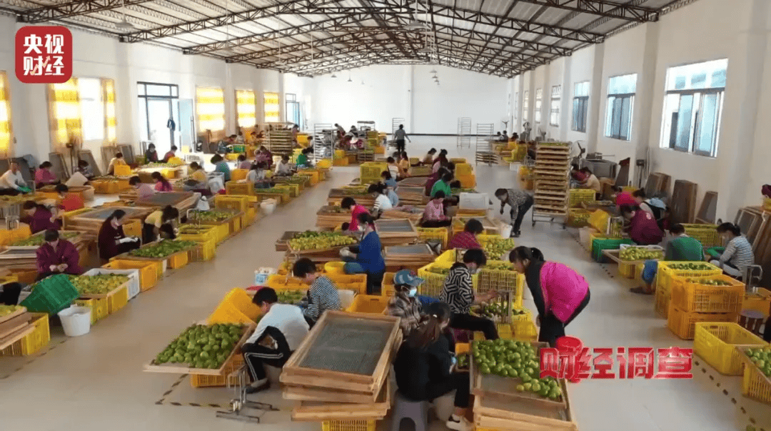 皇冠信用盘登2
_广西浦北凌晨通报——