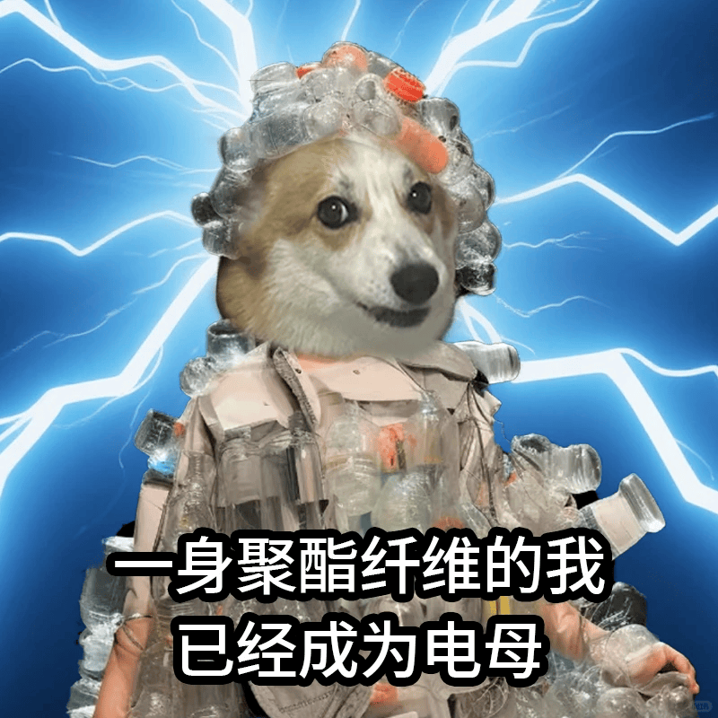 皇冠信用网怎么注册_别买那些防静电神器了皇冠信用网怎么注册,真正的克星只需要一面墙