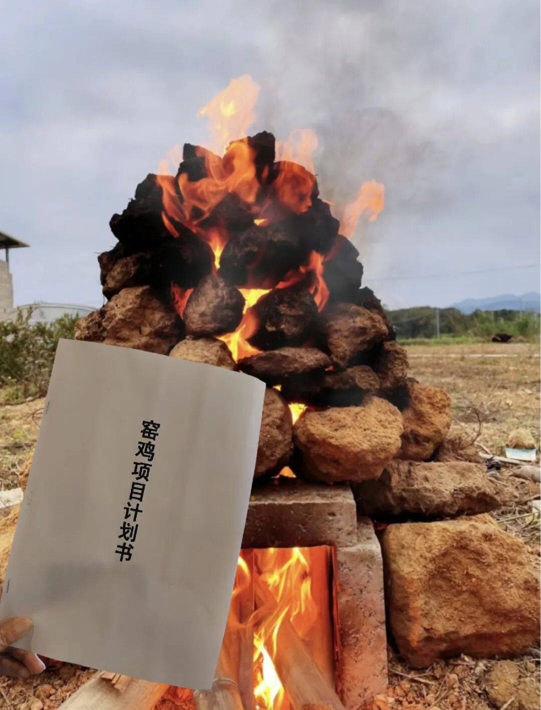 网上买球怎么买_柳州俩人竟在绿化带里“窑鸡”网上买球怎么买,鸡还未入窑就......