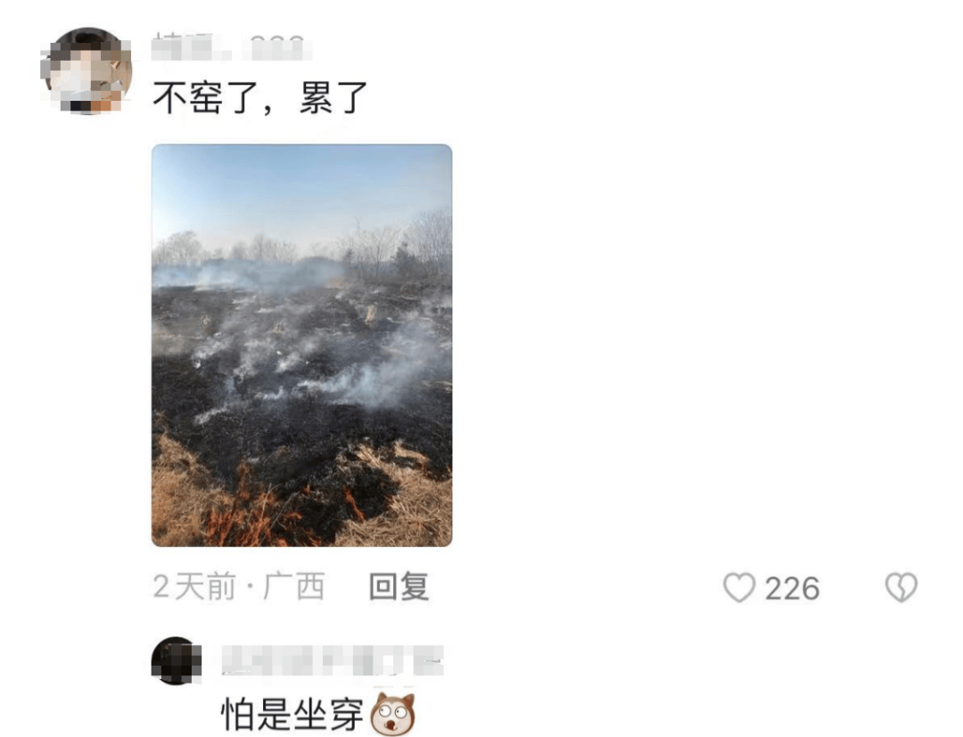 网上买球怎么买_柳州俩人竟在绿化带里“窑鸡”网上买球怎么买,鸡还未入窑就......