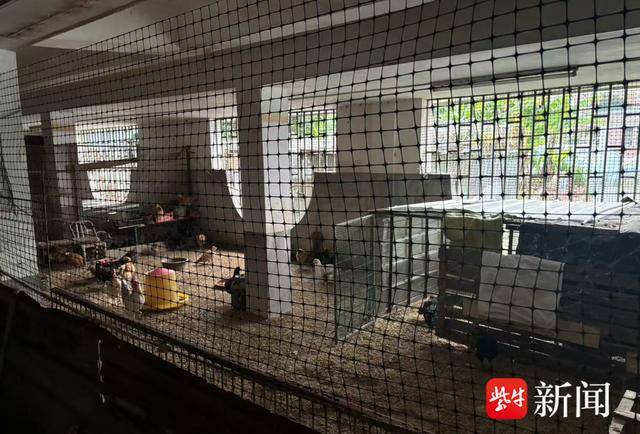 如何代理皇冠信用网_离谱！男子耗资500多万元建造的别墅被邻居强占如何代理皇冠信用网，地下室养了几十只鸡鸭，警方介入后仍三番五次偷搬东西