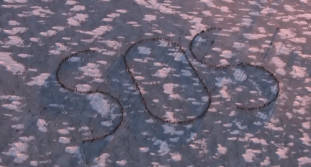 怎么申请皇冠信用网_ICE来了就吹哨子怎么申请皇冠信用网！暴力执法中的明州之冬与零下20°C的SOS